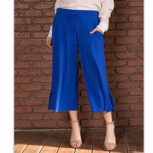 NEW•L•SUGARED + BRONZED• ELECTRIC BLUE WIDE LEG PANTS WITH POCKETS